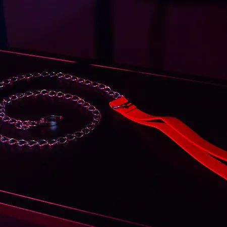 Passion Et Mystère, Nuit En Avec énigmes Castanet-Tolosan